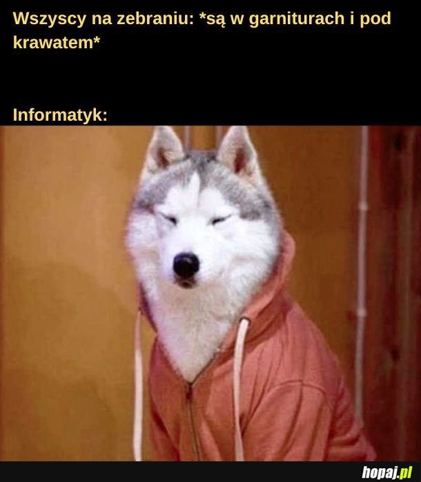 
    Informatyk.