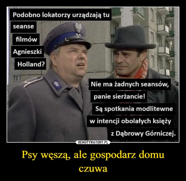 
    Psy węszą, ale gospodarz domu czuwa