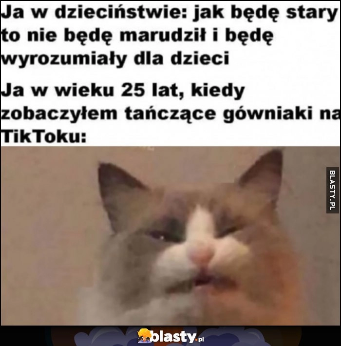 
    Ja w dzieciństwie: jak będę stary to nie będę marudził i będę wyrozumiały dla dzieci vs w wieku 25 lat jak zobaczyłem tańczące gówniaki na TikToku skrzywiony kot