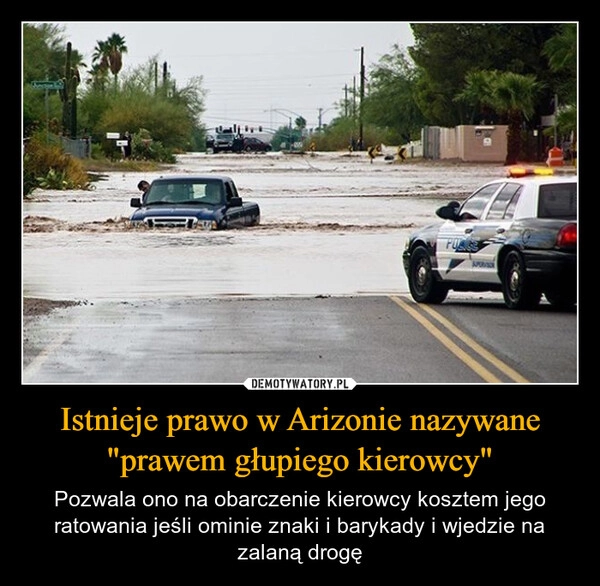 
    Istnieje prawo w Arizonie nazywane "prawem głupiego kierowcy"