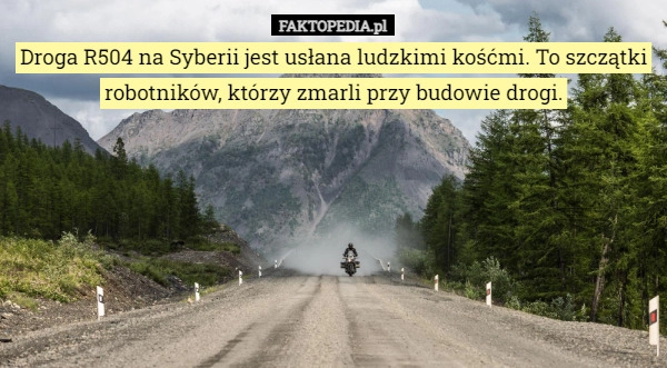 
    Droga R504 na Syberii jest usłana ludzkimi kośćmi. To szczątki robotników,