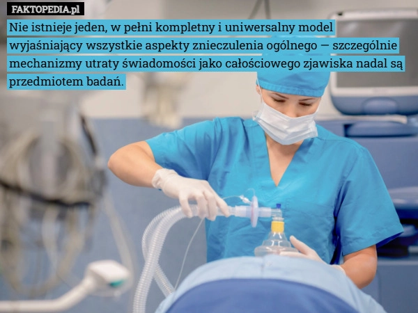 Nie istnieje jeden, w pełni kompletny i uniwersalny model wyjaśniający wszystkie