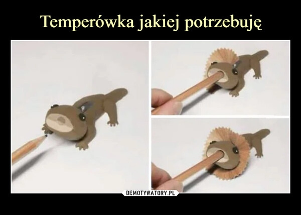 
    Temperówka jakiej potrzebuję