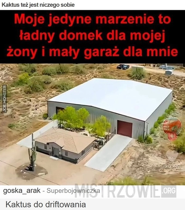 
    Kaktus też jest niczego sobie