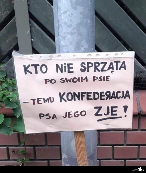 
    Kto nie sprząta po psie... 