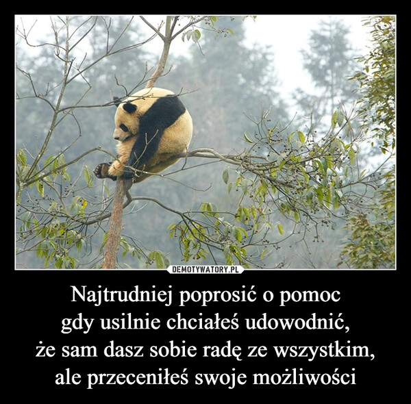 
    Najtrudniej poprosić o pomoc
gdy usilnie chciałeś udowodnić,
że sam dasz sobie radę ze wszystkim,
ale przeceniłeś swoje możliwości