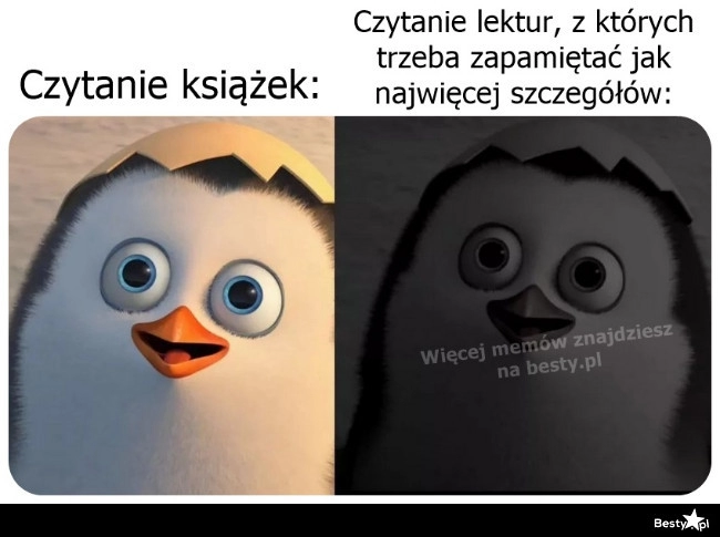 
    Jak odebrać przyjemność z czytania 