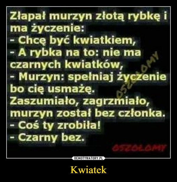 
    Kwiatek