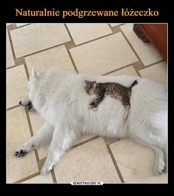 
    
Naturalnie podgrzewane łóżeczko 