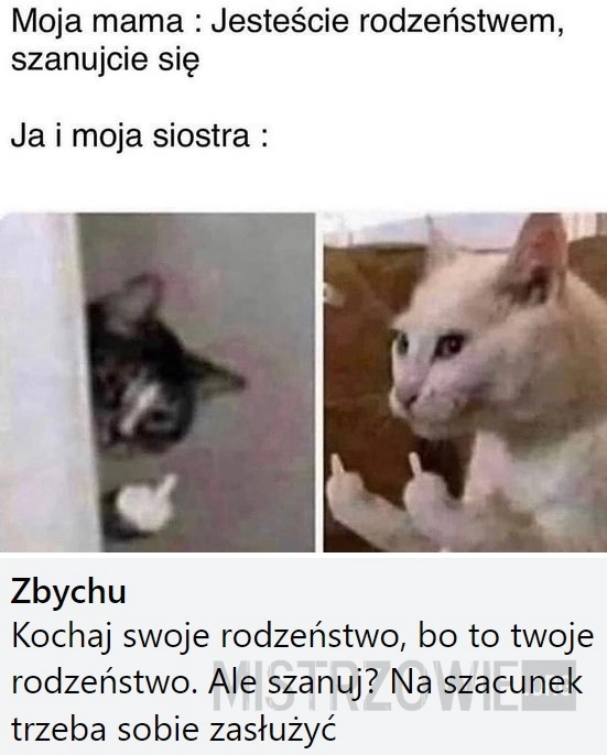 
    Rodzeństwo