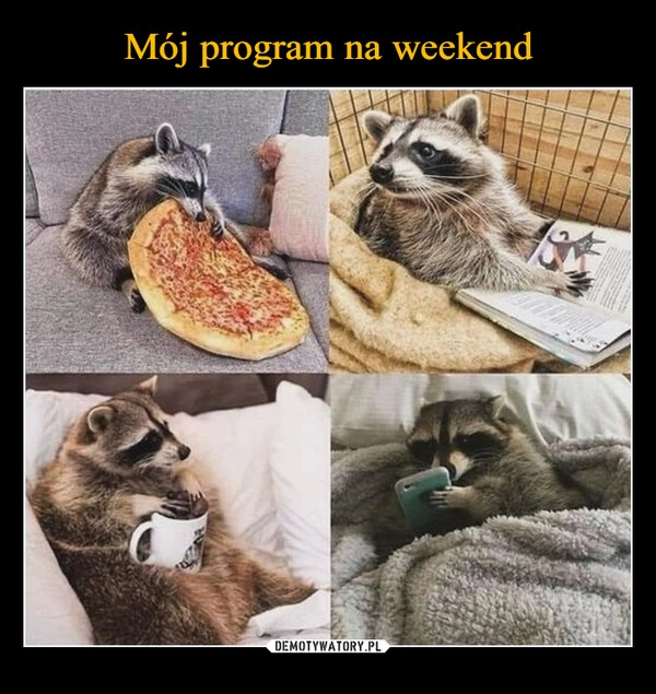 
    Mój program na weekend