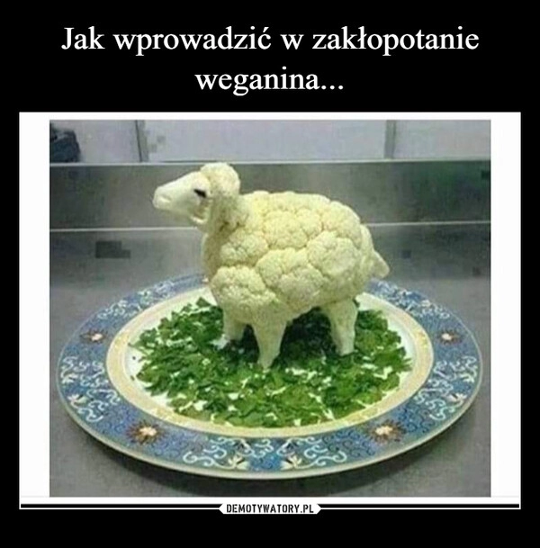 
    Jak wprowadzić w zakłopotanie weganina...