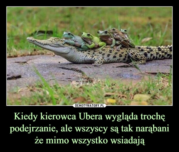 
    Kiedy kierowca Ubera wygląda trochę podejrzanie, ale wszyscy są tak narąbani że mimo wszystko wsiadają