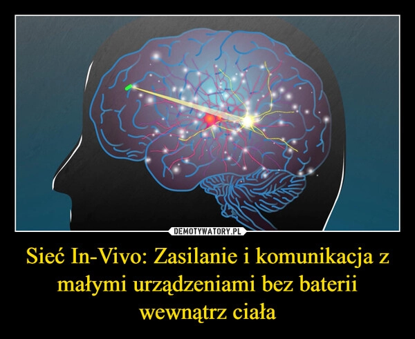 
    Sieć In-Vivo: Zasilanie i komunikacja z małymi urządzeniami bez baterii wewnątrz ciała