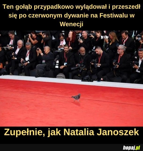 
    Podobieństwo jest uderzające.