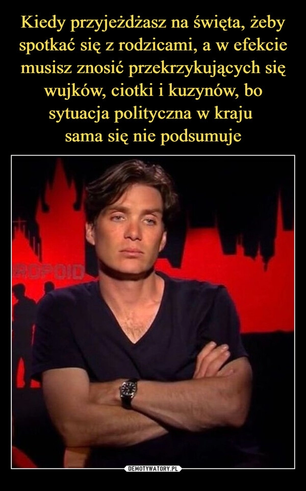 
    Kiedy przyjeżdżasz na święta, żeby spotkać się z rodzicami, a w efekcie musisz znosić przekrzykujących się wujków, ciotki i kuzynów, bo sytuacja polityczna w kraju 
sama się nie podsumuje