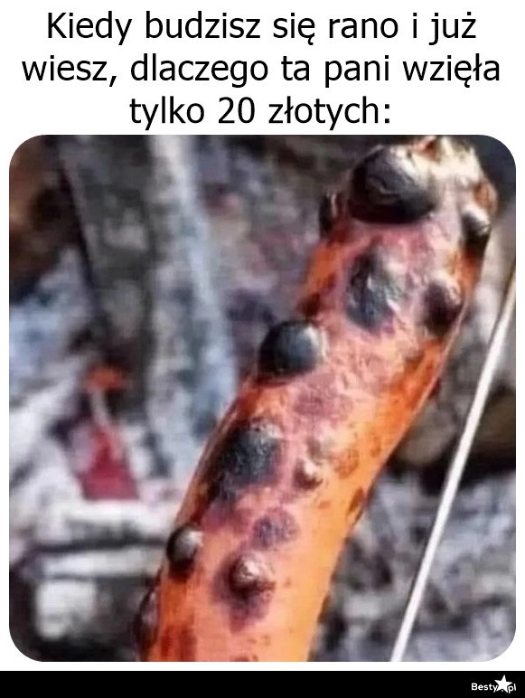 
    To się porobiło 