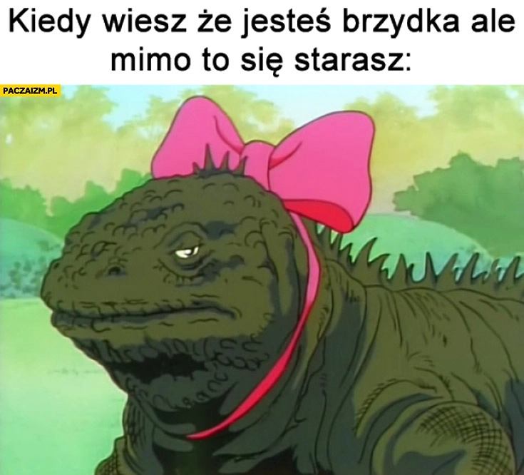 
    Kiedy wiesz że jesteś brzydka ale mimo to się starasz reptilianka kokardka