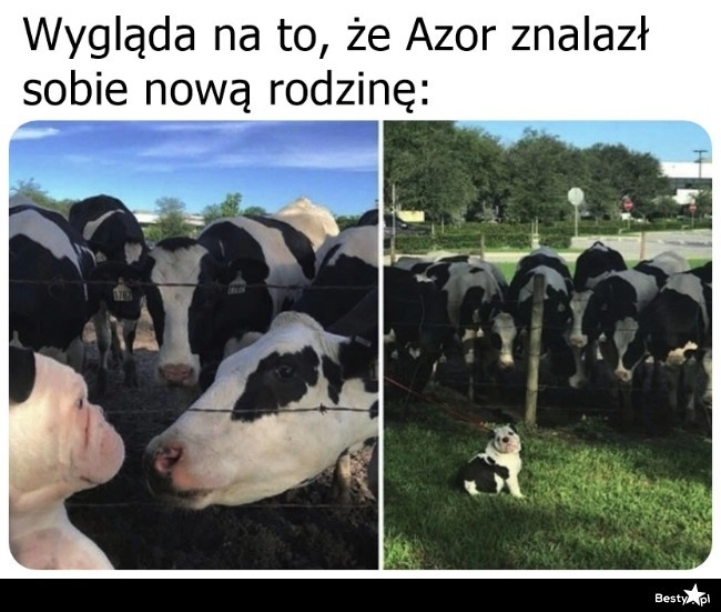 
    Nowa rodzinka 