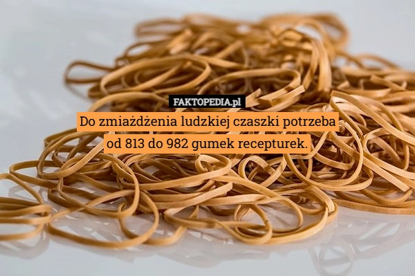 
    Do zmiażdżenia ludzkiej czaszki potrzeba
od 813 do 982 gumek recepturek.