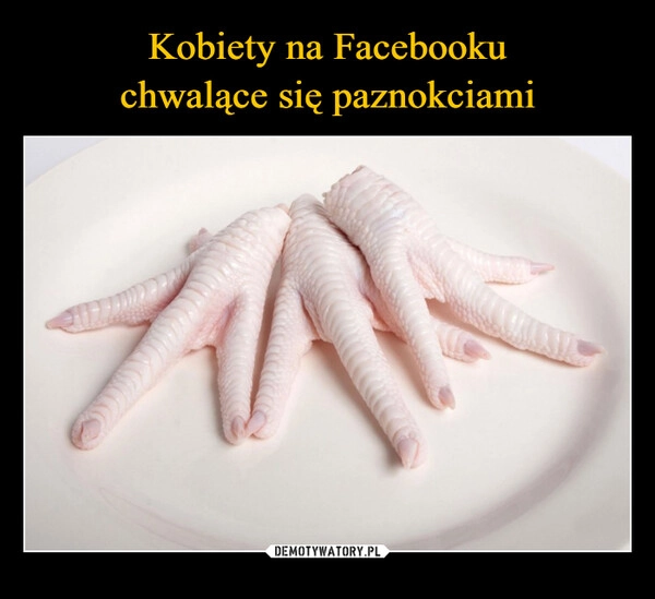 
    Kobiety na Facebooku
chwalące się paznokciami