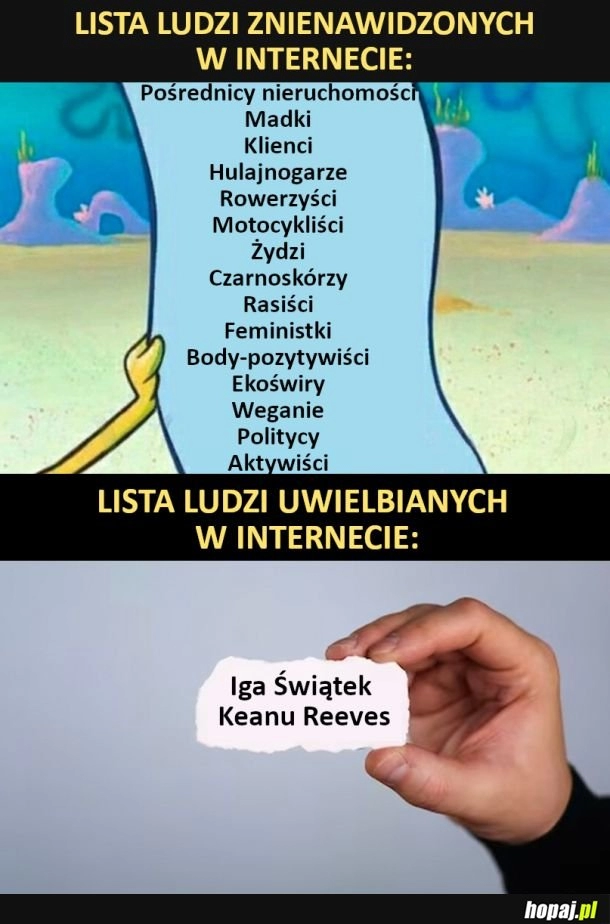 
    Lista ludzi znienawidzonych i uwielbianych w internecie