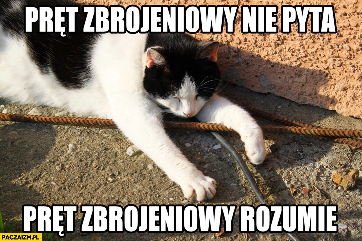
    Pręt zbrojeniowy nie pyta, pręt zbrojeniowy rozumie kot
