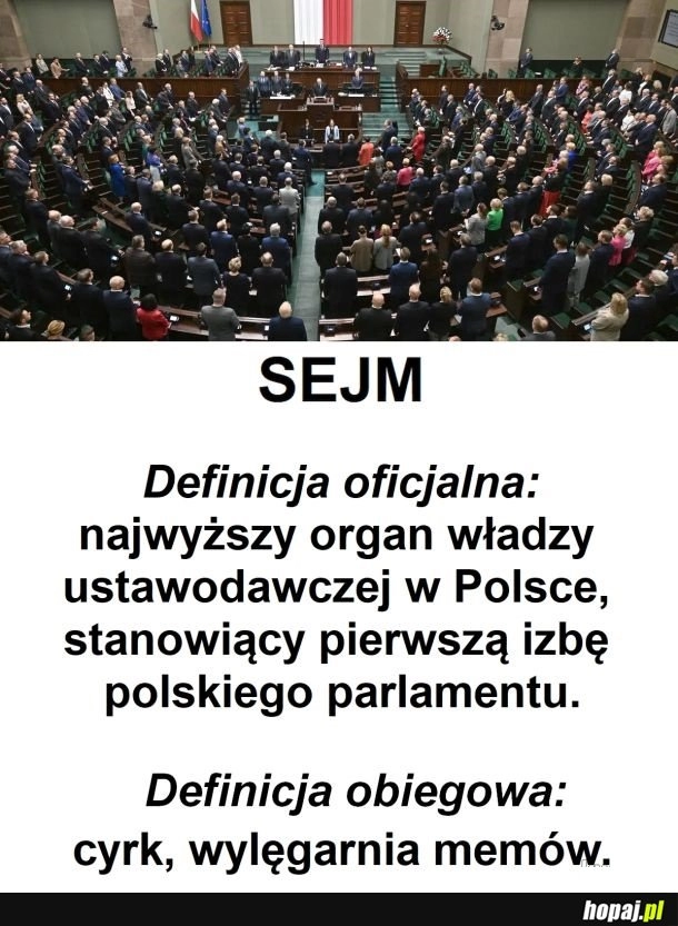 
    Sejm