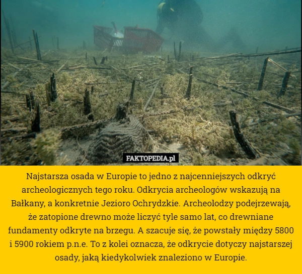 
    Najstarsza osada w Europie to jedno z najcenniejszych odkryć archeologicznych