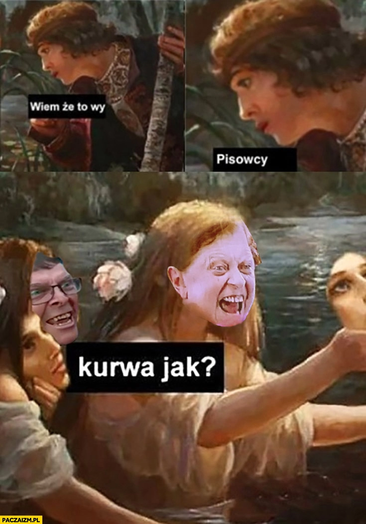 
    Baba z wiecu Tuska wiem, że to wy pisowcy kurna jak