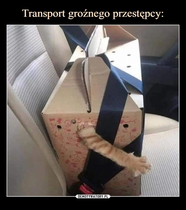 
    Transport groźnego przestępcy: