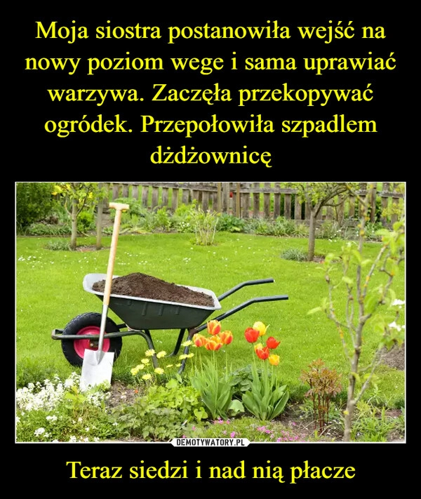 
    Moja siostra postanowiła wejść na nowy poziom wege i sama uprawiać warzywa. Zaczęła przekopywać ogródek. Przepołowiła szpadlem dżdżownicę Teraz siedzi i nad nią płacze