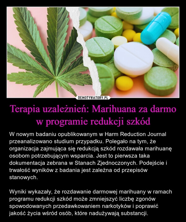 
    Terapia uzależnień: Marihuana za darmo w programie redukcji szkód