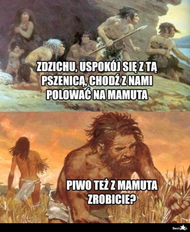 
    Uprawa pszenicy 