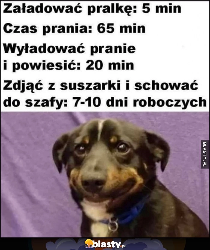 
    Załadować pralkę: 5 min, czas prania: 65 min, wyładować i rozwiesić: 20 min, zdjąć z suszarki i schować do szafy: 7-10 dni roboczych