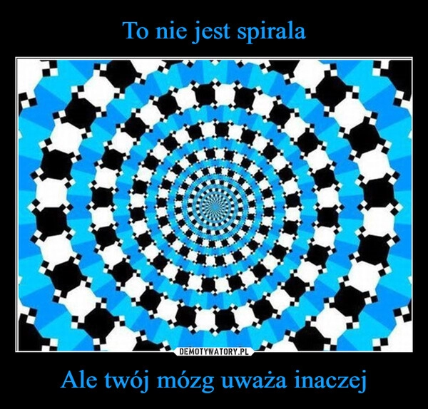 
    To nie jest spirala Ale twój mózg uważa inaczej