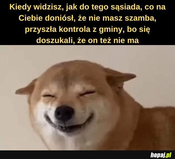 
    Sąsiedzkie szambo. 