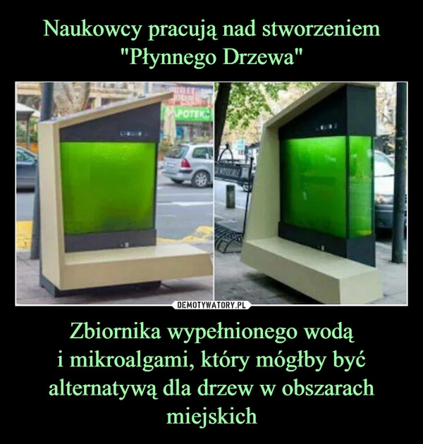 
    Naukowcy pracują nad stworzeniem "Płynnego Drzewa" Zbiornika wypełnionego wodą
i mikroalgami, który mógłby być alternatywą dla drzew w obszarach miejskich