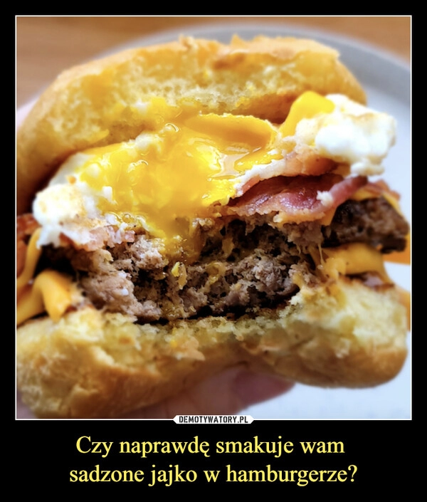 
    Czy naprawdę smakuje wam
sadzone jajko w hamburgerze? 