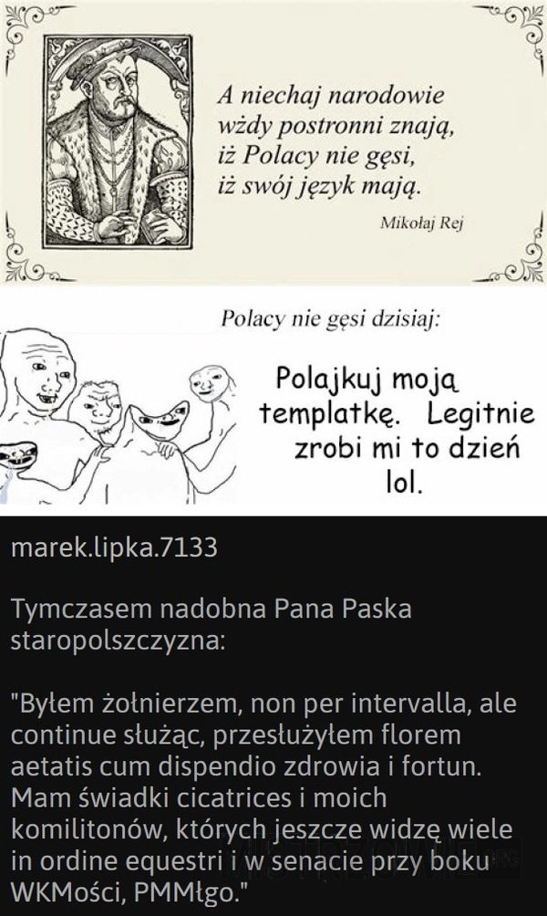 
    Ojczysta mowa