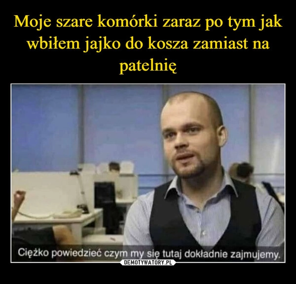 
    Moje szare komórki zaraz po tym jak wbiłem jajko do kosza zamiast na patelnię