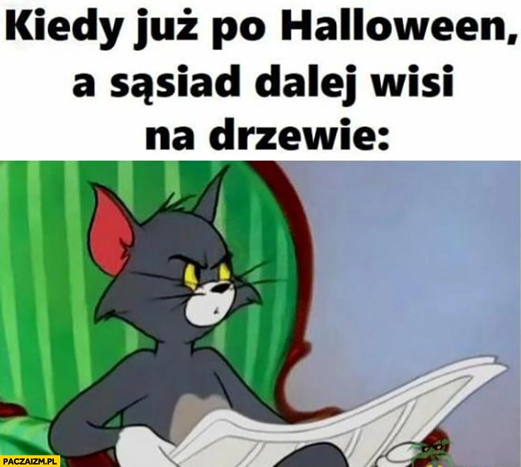 
    Kiedy już po halloween a sąsiad dalej wisi na drzewie Tom zdziwiony