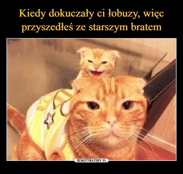 
    Kiedy dokuczały ci łobuzy, więc przyszedłeś ze starszym bratem