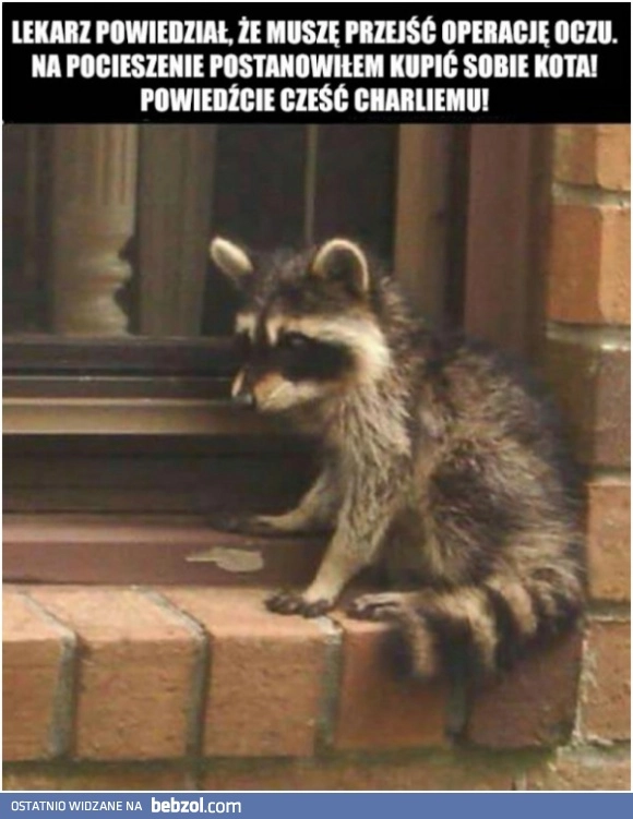 
    No cześć