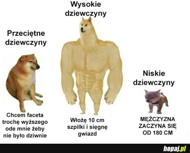 
    Czy naprawdę tak jest