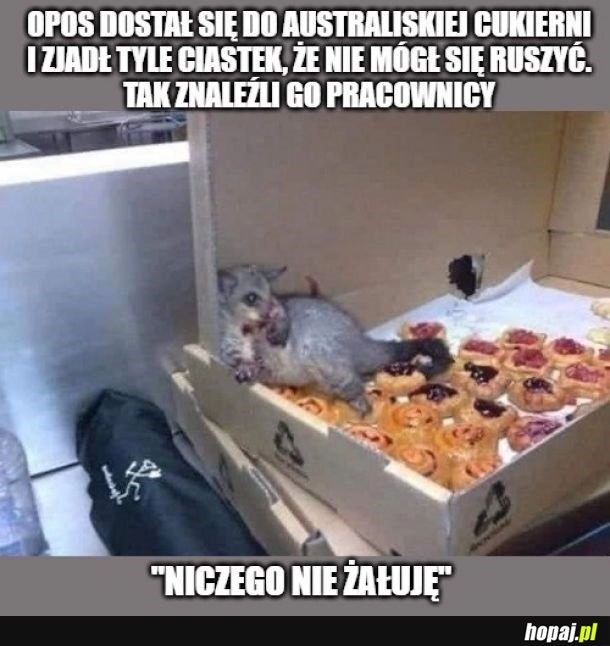 
    Ja po rodzinnym obiedzie