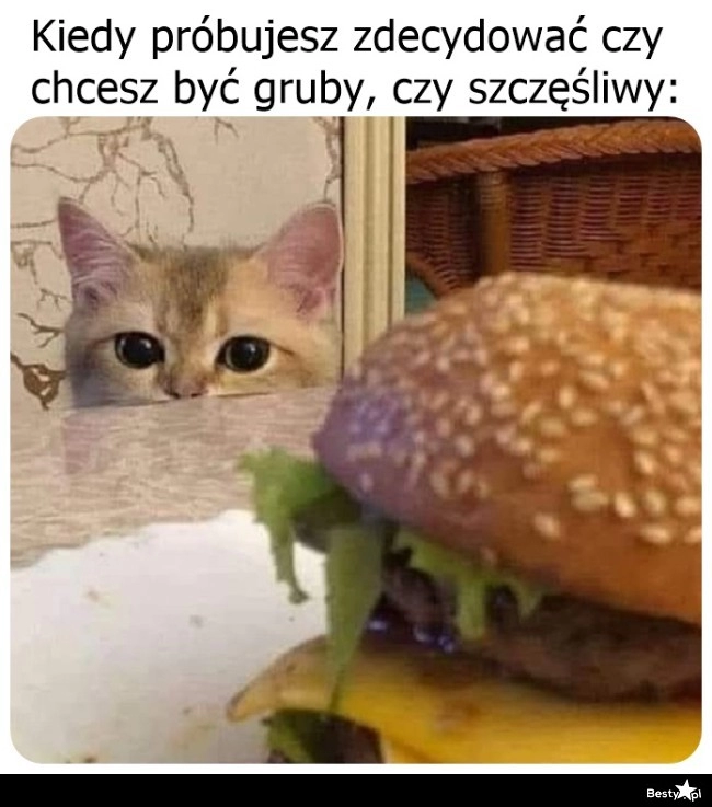 
    Czas decyzji 