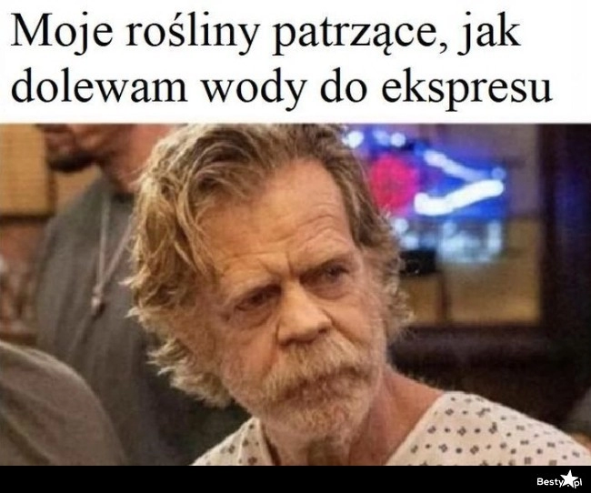 
    Zapomniane roślinki 