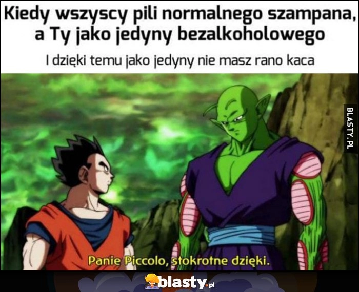 
    Kiedy wszyscy pili normalnego szampana a Ty jako jedyny bezalkoholowego i nie masz kaca. Panie Piccolo, stokrotne dzięki Dragon Ball