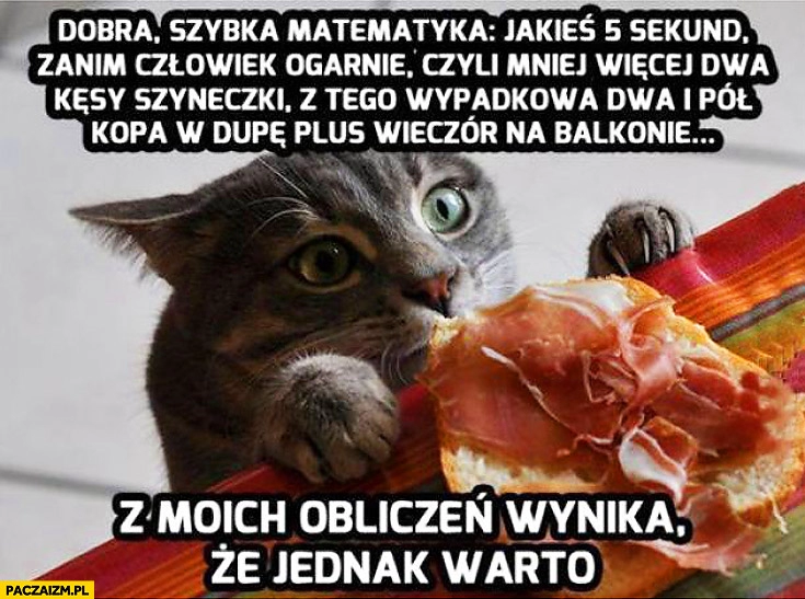 
    Kot dwa kęsy szyneczki z moich obliczeń wynika że warto